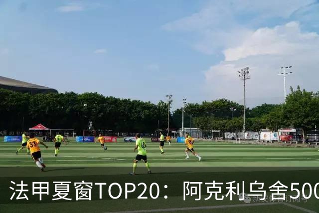 法甲夏窗TOP20：阿克利乌舍5000万欧成标王，费兰4850万欧第二